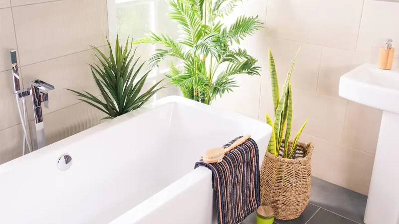 Choose the Right Bathtub for your Bathroom