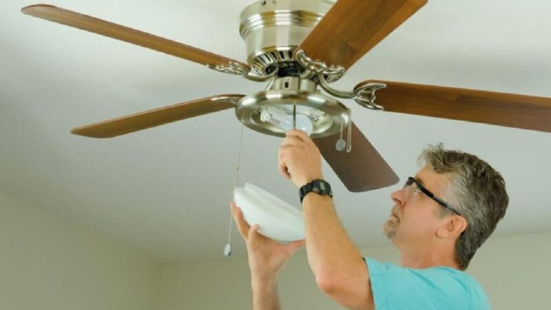 buy ceiling fans online