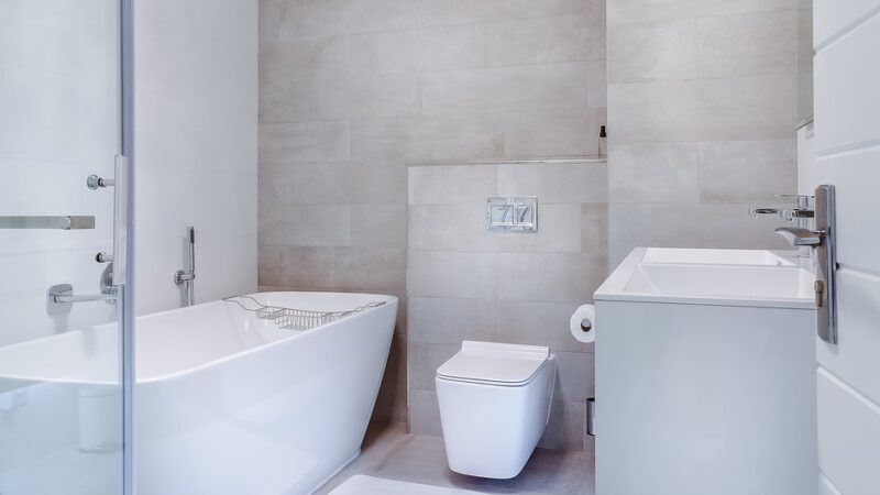 Picking the Perfect Toilet for your home Renovation