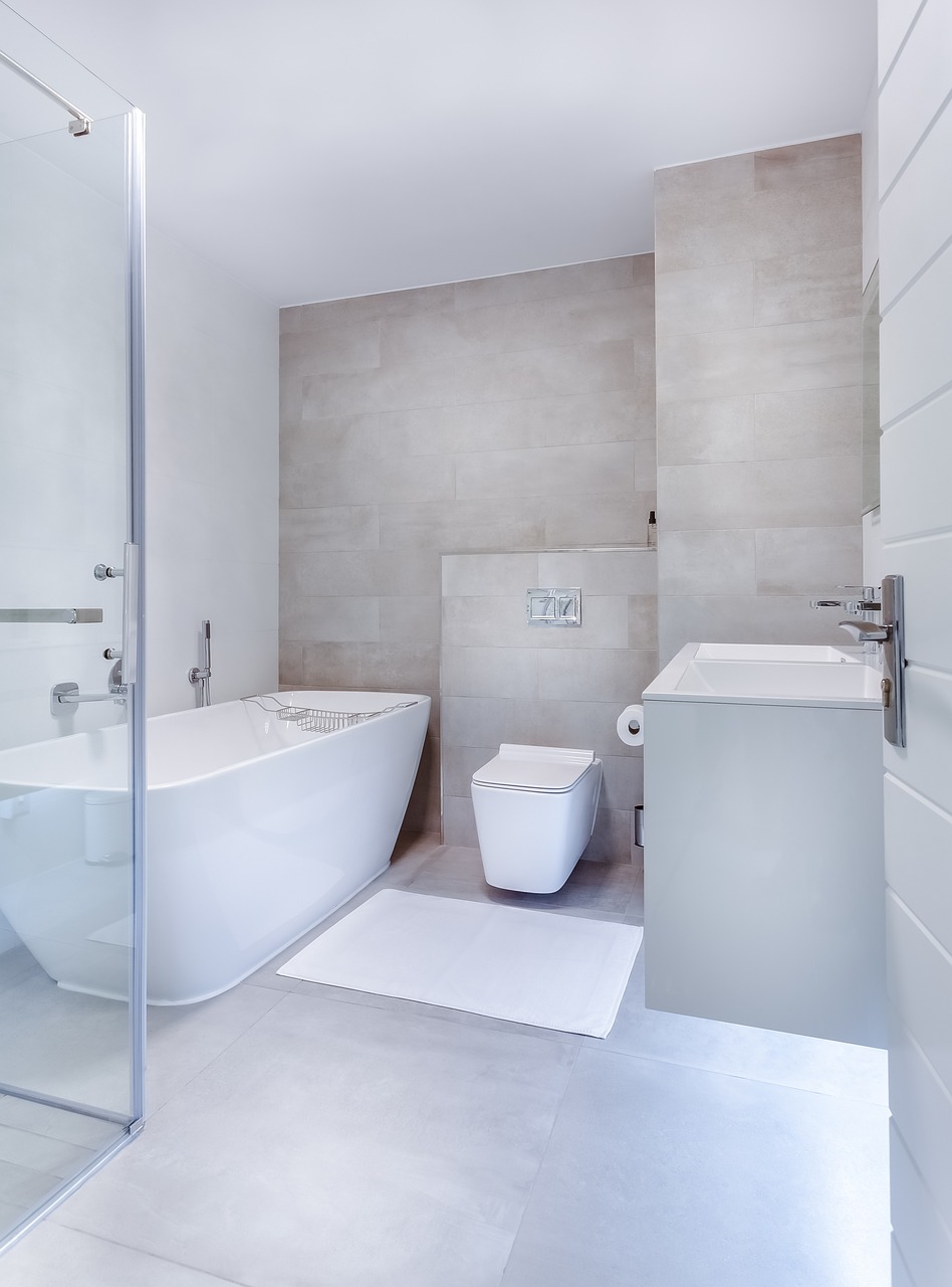 Picking the Perfect Toilet for your home Renovation