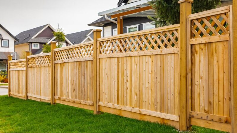 Best Fencing options for your four-legged friends