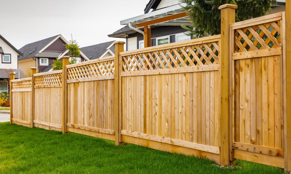 Creating a Pet-Friendly Yard – Fencing Solutions for Happy Pets