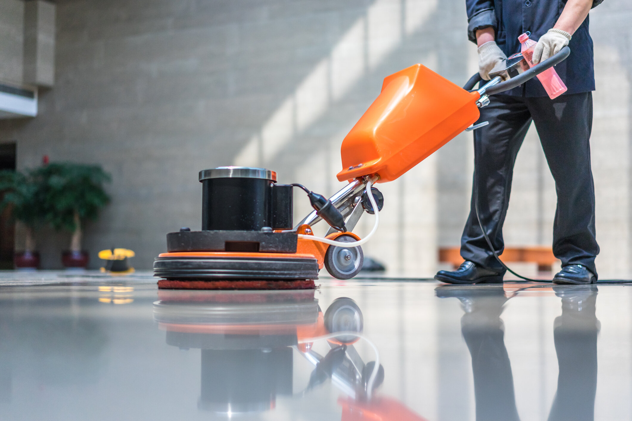 Busting Some Common Myths About Expert Cleaning Services