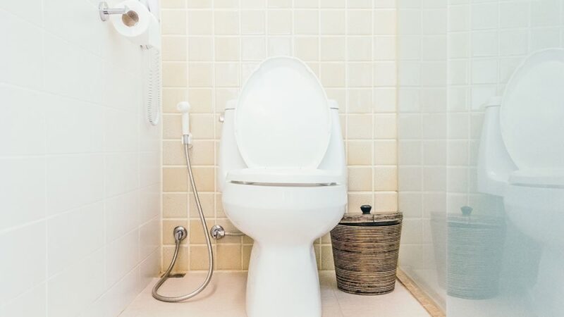 The Advantages of Heating Your Toilet Seat