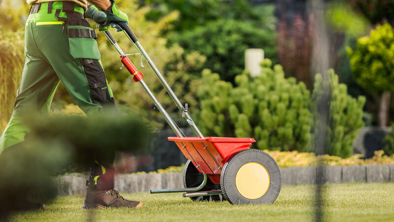 Fertilization Services in San Antonio: Nurturing Your Lawn for Lush Greenery