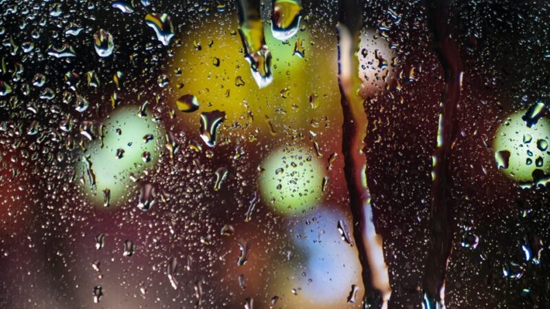 8 Effective Tips to Prepare Your Home for the Rainy Season