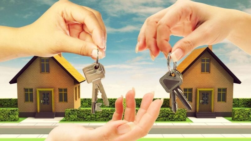Professional Realtor