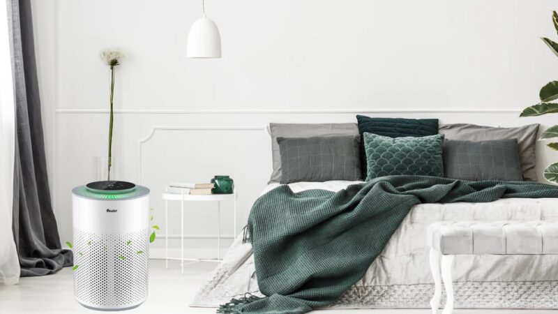 From Repair to Prevention: How Mold Air Purifiers Prevent Future Growth in Damp Areas