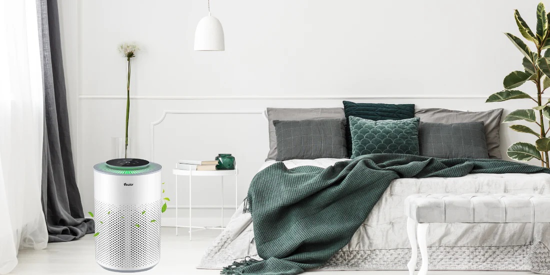 From Repair to Prevention: How Mold Air Purifiers Prevent Future Growth in Damp Areas