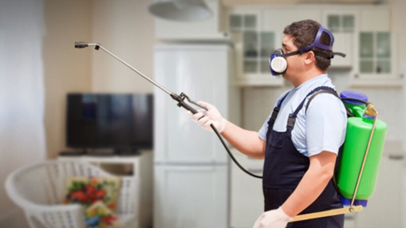 Pest Challenges in Gaithersburg Apartments: Quick Points Worth Knowing!