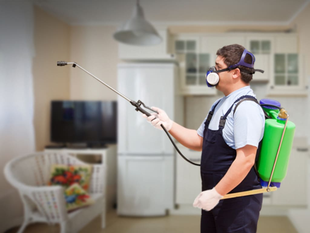 Pest Challenges in Gaithersburg Apartments: Quick Points Worth Knowing!